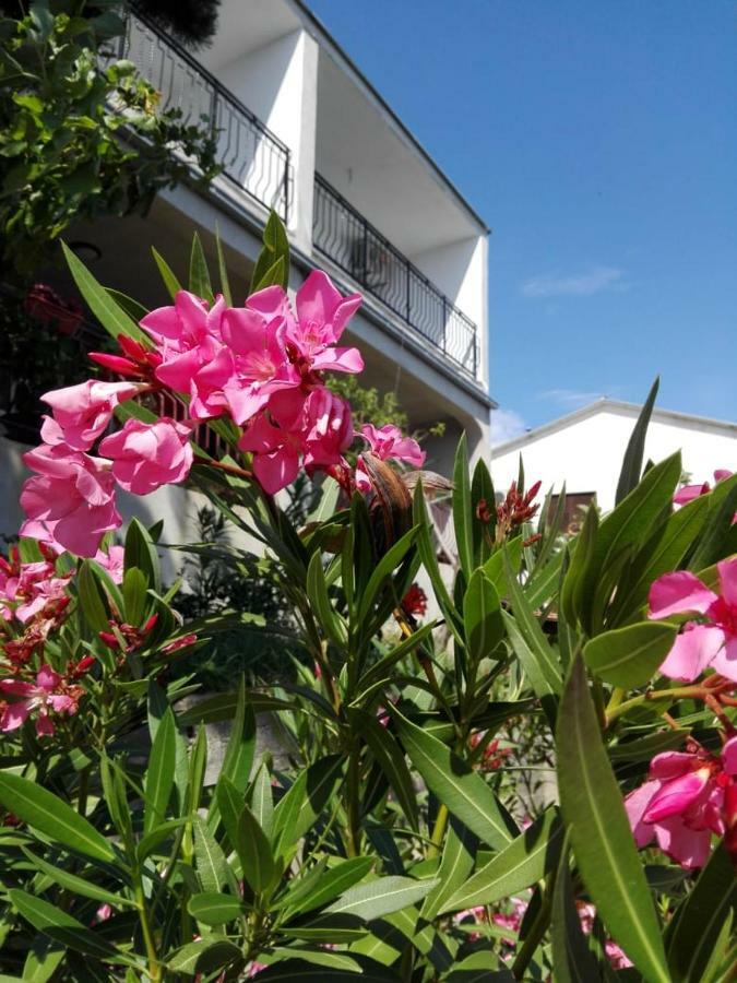 Adria 1 Apartment *
